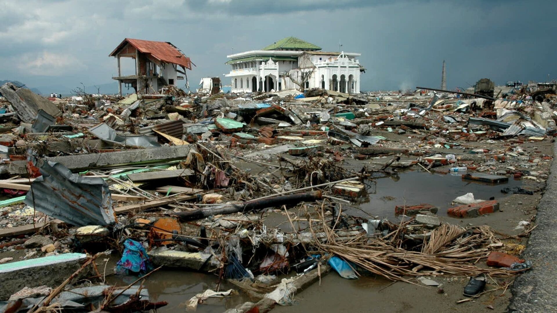A huge wave swept away almost everything in its path.