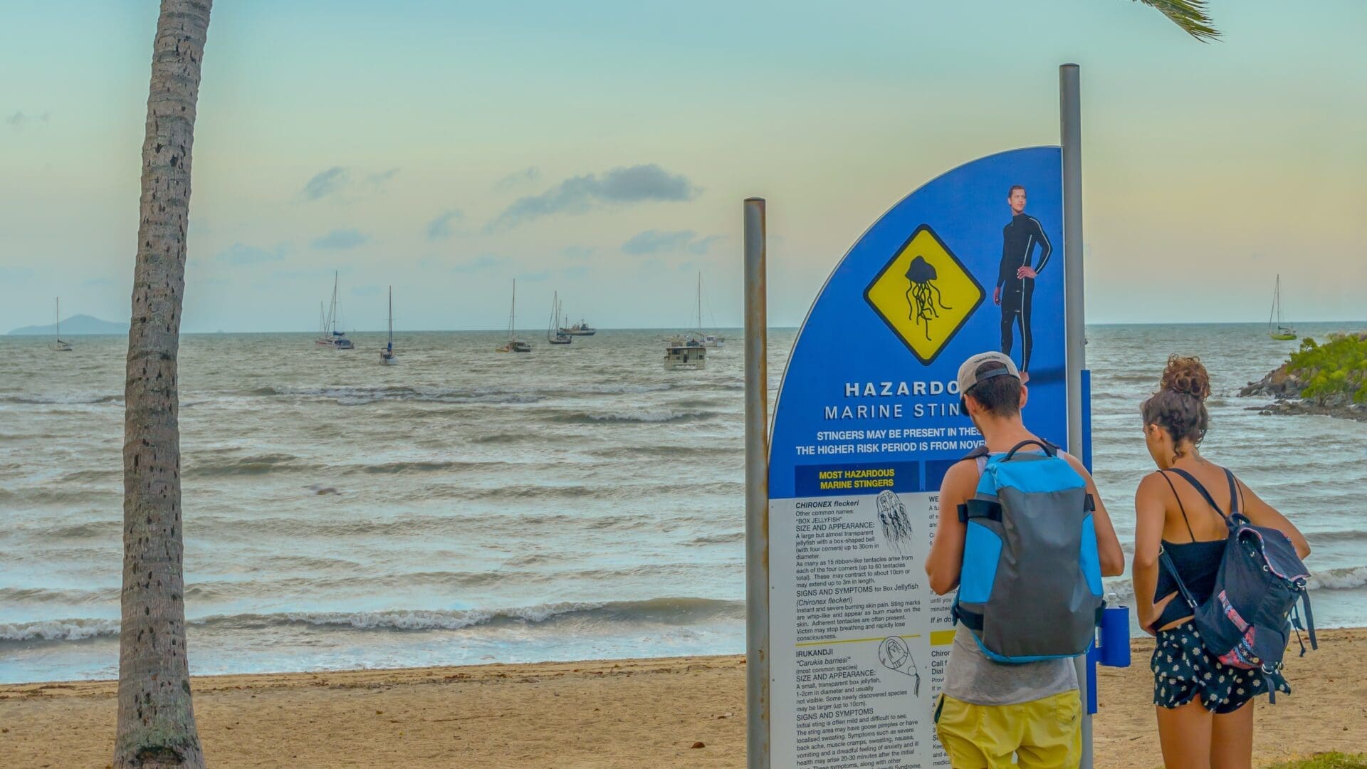 On some beaches you will find warning signs that warn of the presence of jellyfish.