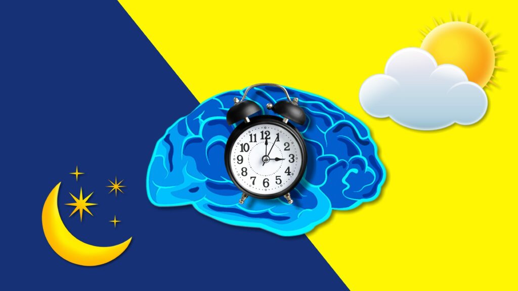 Circadian Rhythm: Change your day, change your life