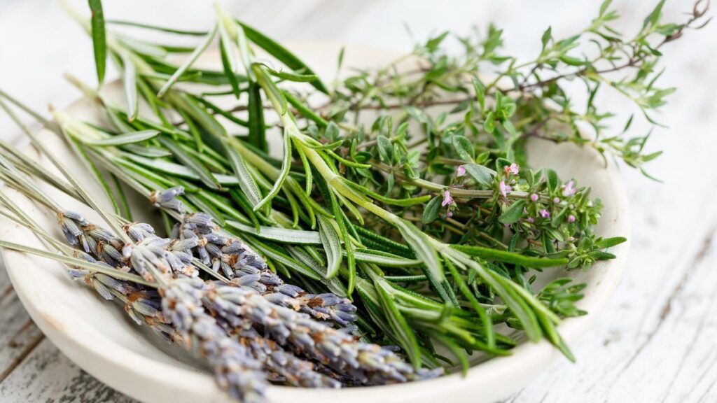 A garden full of fragrance and flavour: 10 herbs that are worth it