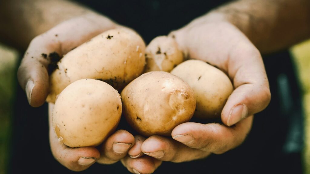 Potatoes are a food full of vitamins. You should indulge in them as a side dish several times a week.