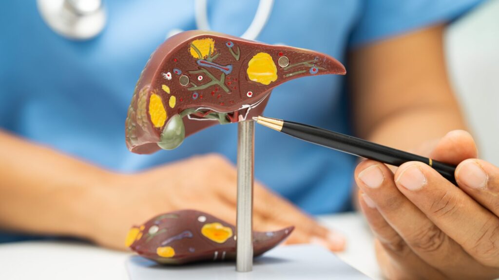 Alcohol is not the only enemy of the liver. Their disease also occurs due to obesity and stress.