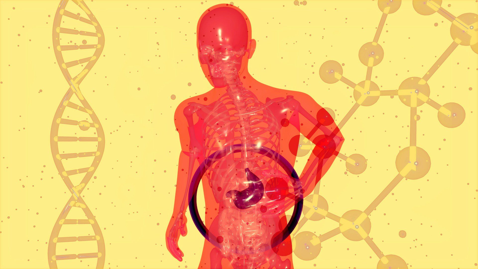 Diseases of the liver and gallbladder are related, the organs work interdependently.