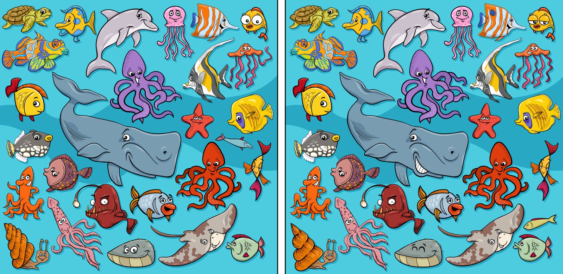 Find the 12 differences.