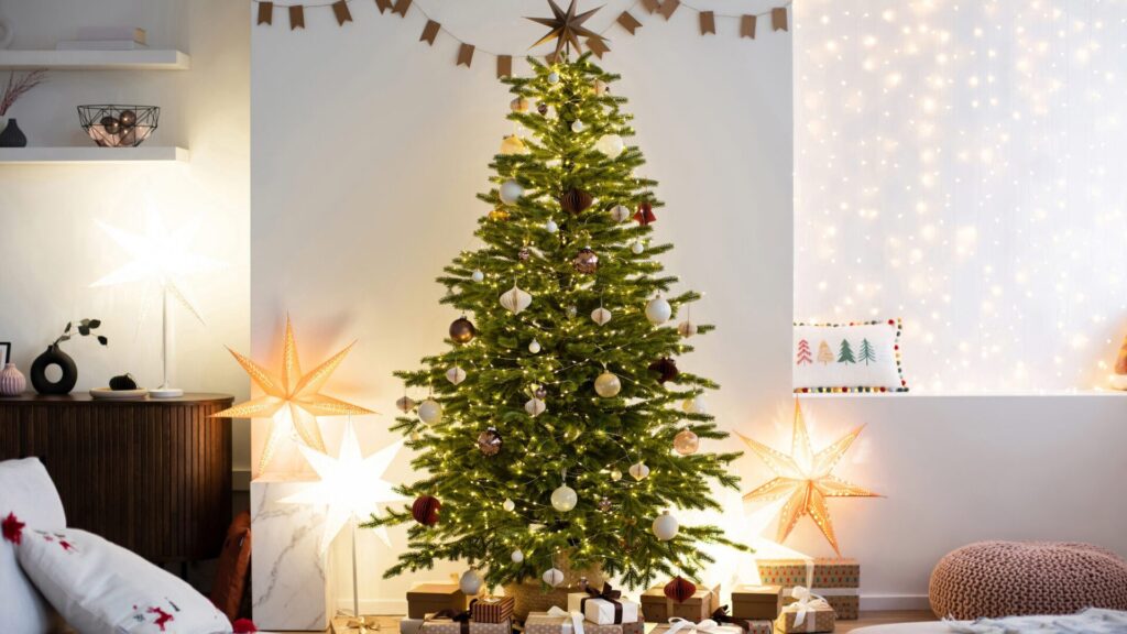 A Christmas tree can look beautiful during the holidays. But you have to choose the right one and take care of it so that it doesn't fall down right away.