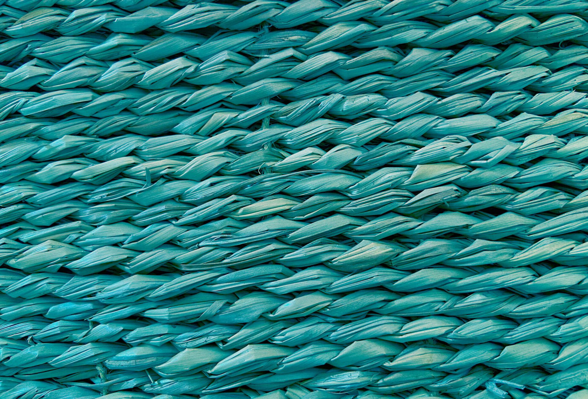 Transformative teal is a colour that brings a positive mood and signifies harmony with nature.