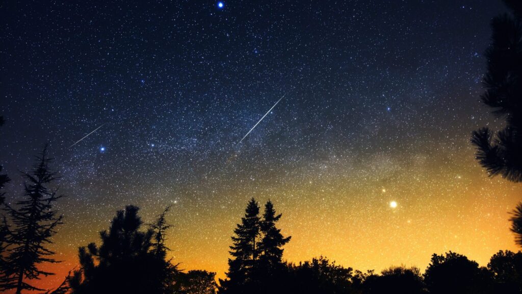 The Leonid meteor shower peaks on November 17.