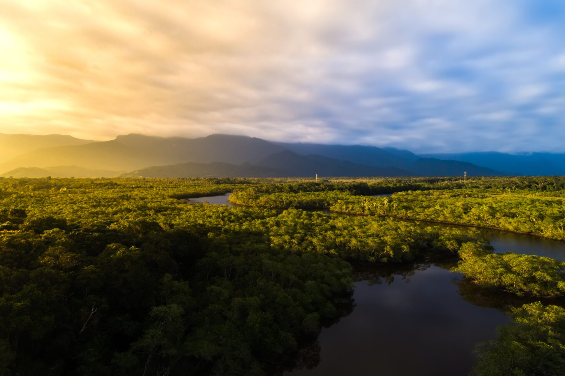 The Amazon rainforest is a major contributor to climate stabilization.