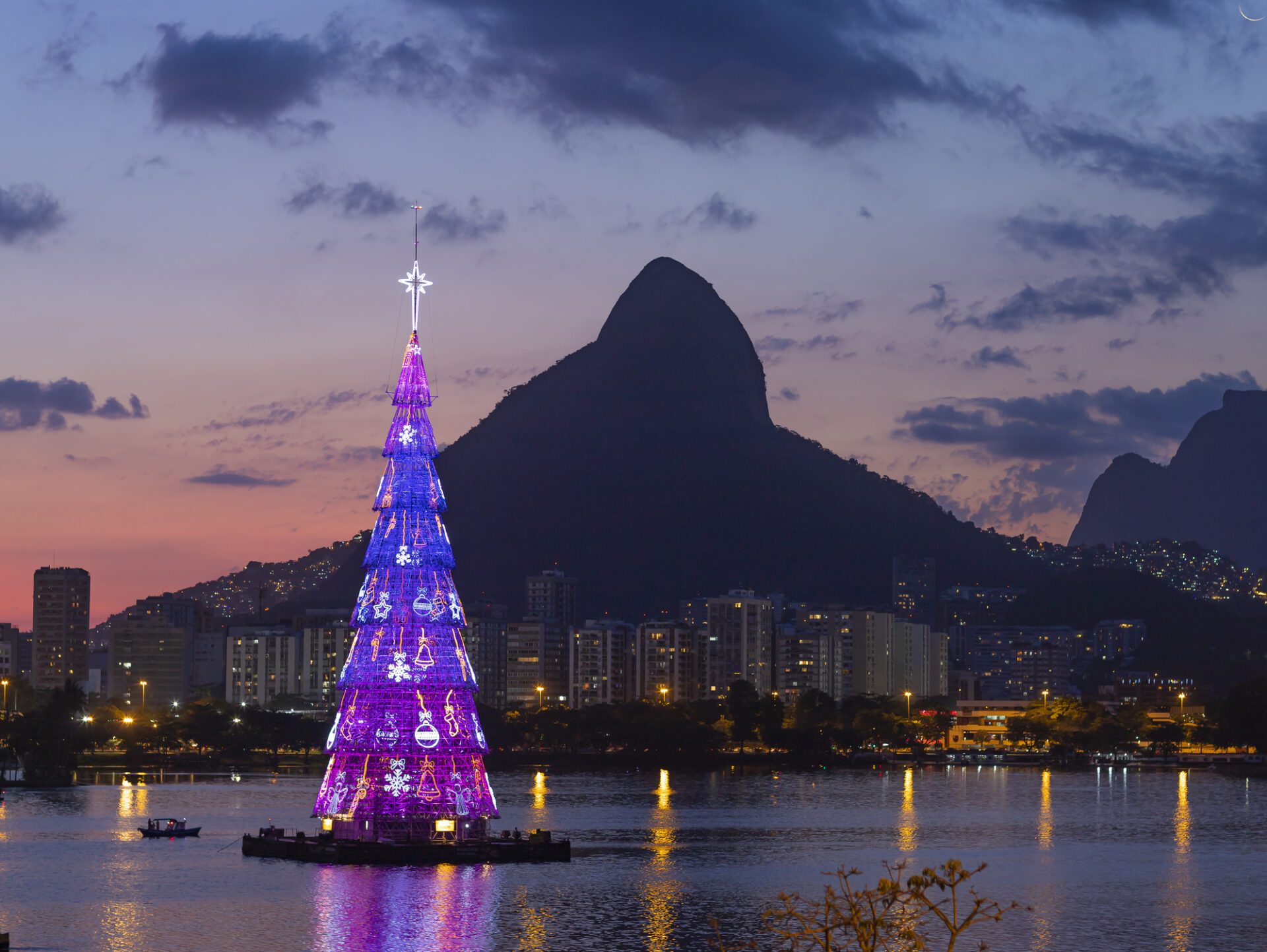 Floating trees are very popular in Brazil.