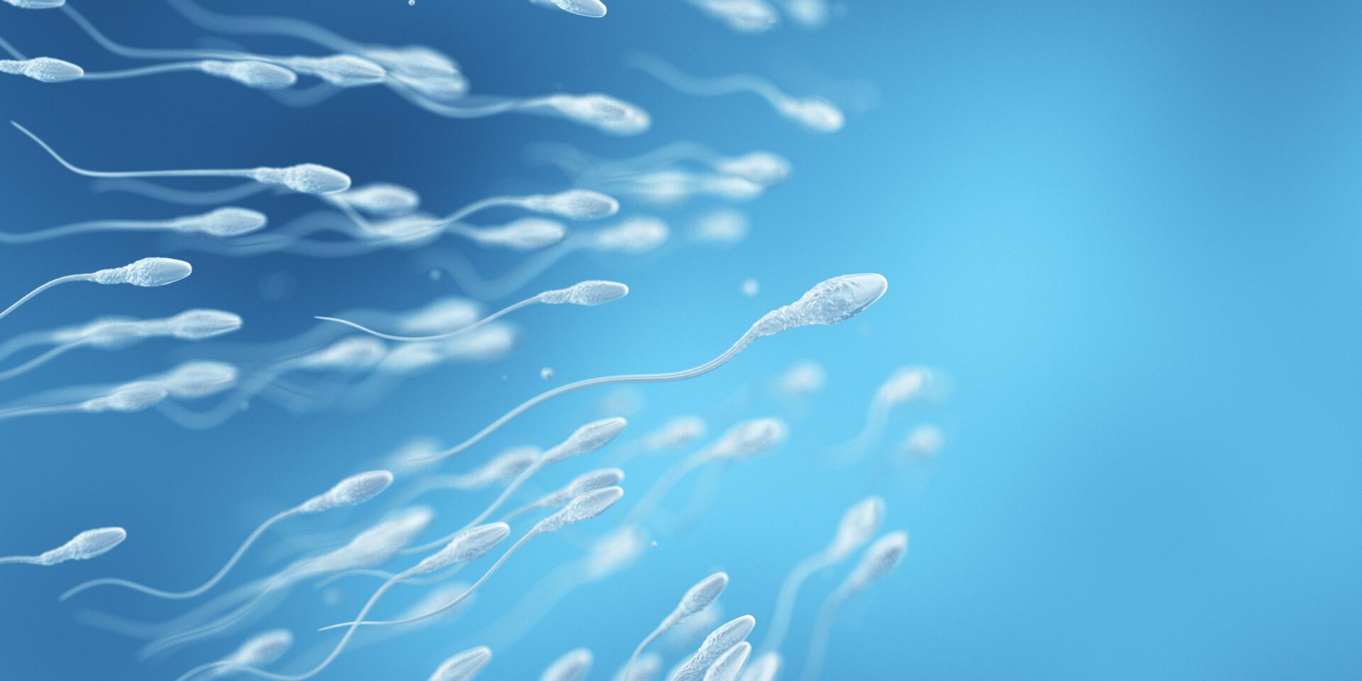 A new study points to the possibility of a breakthrough treatment for infertility.