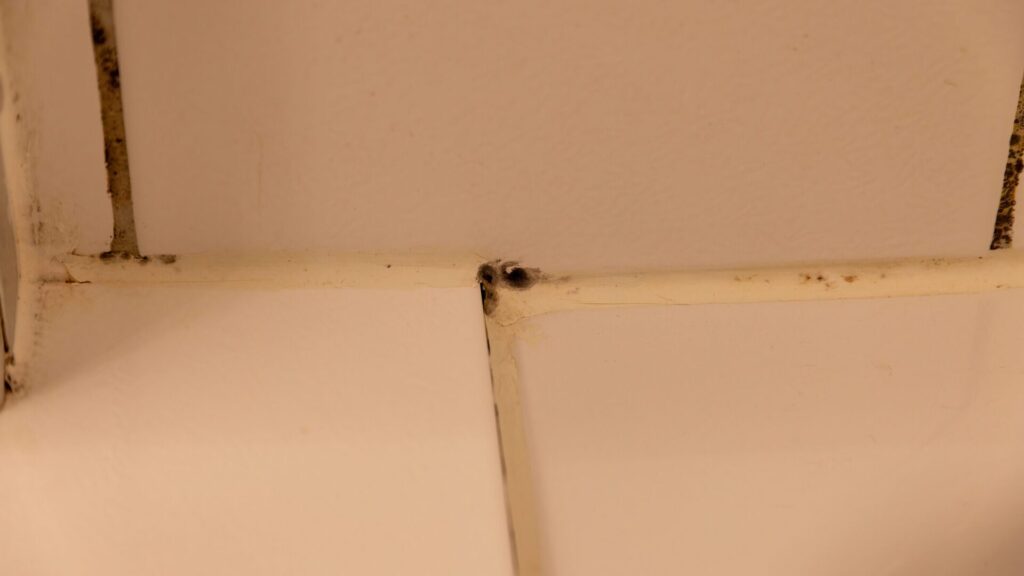 Joints in the bathroom can be a big problem and can accumulate bacteria. But we know how to get rid of them.
