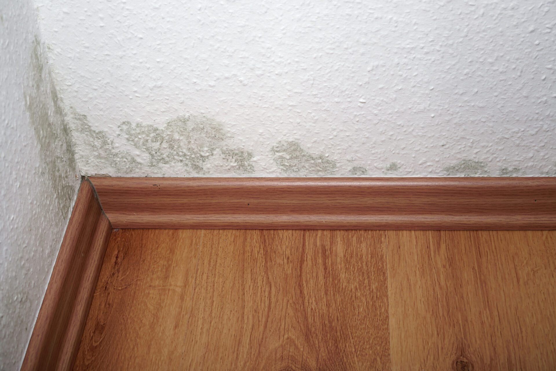 Improper ventilation in the apartment can lead to mould. These subsequently cause health problems and are difficult to get rid of.