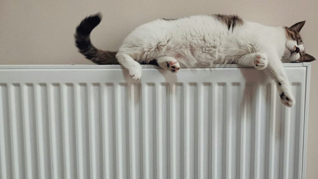 The quality of your sleep is affected by the temperature in the room. Few people realise how ideal it is to set up a radiator in winter.
