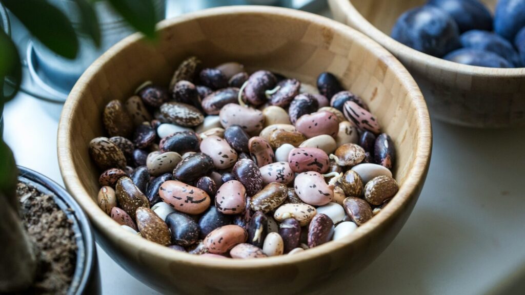 Beans are an excellent legume full of protein, vitamins and minerals. However, eating them can cause bloating if they are poorly prepared.