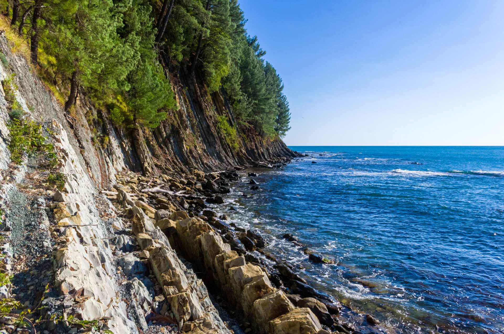 One of the causes of tsunamis is landslides.