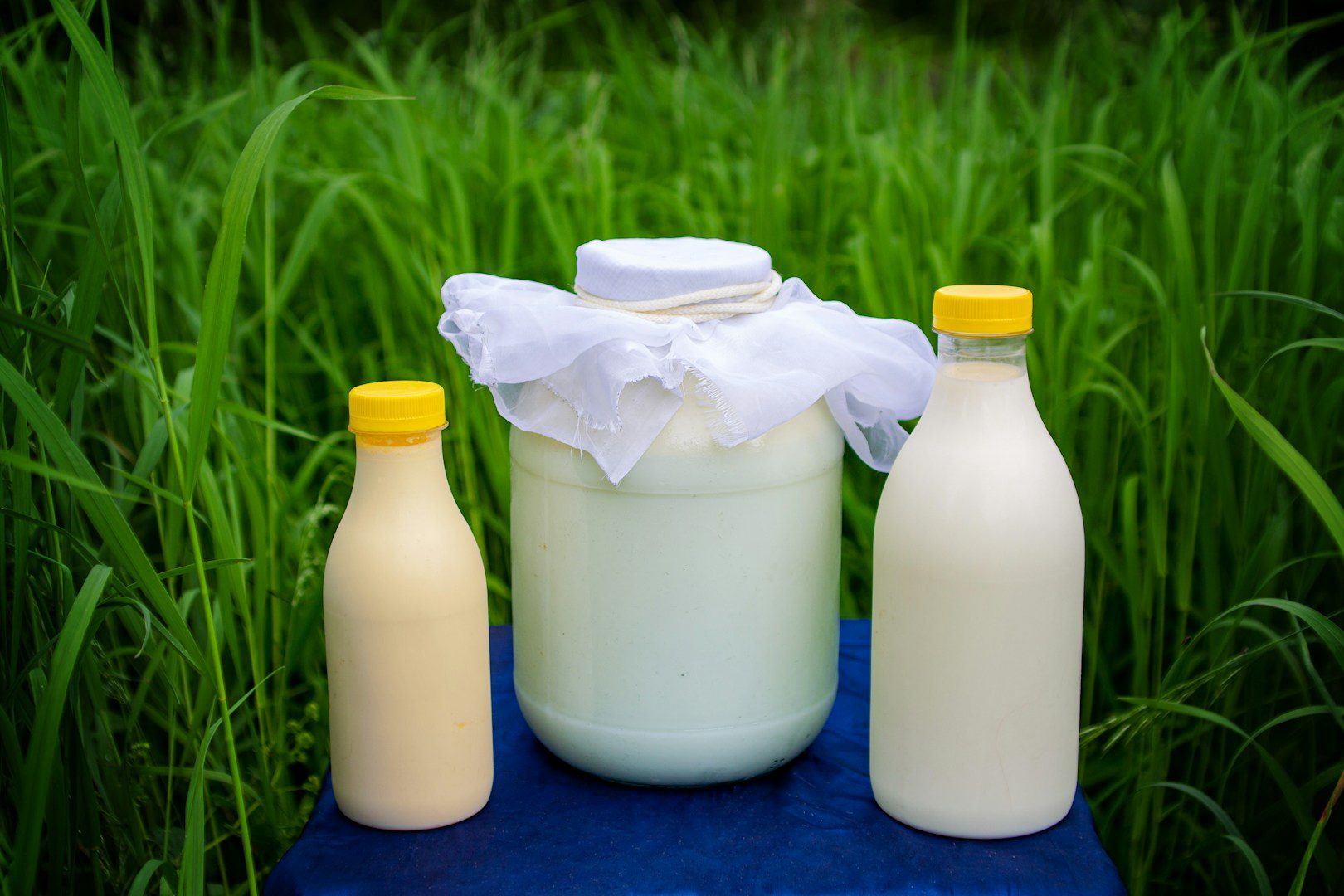It contains many vitamins and minerals. Why should you consume goat's milk regularly in older age?
