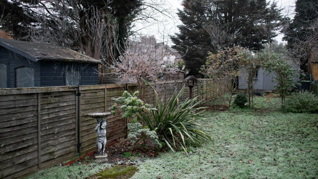 Gardening in February: what you need to do now