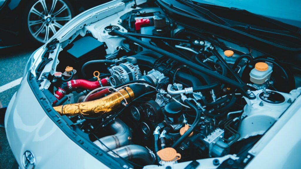 A damaged car engine can be an expensive and very unpleasant affair. Protect your car from rabbits