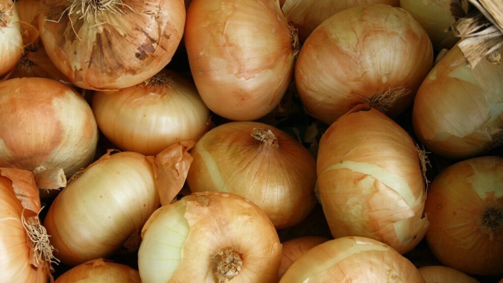 You may have underestimated the onion unnecessarily. Gastroenterologist shows what it can do to your body