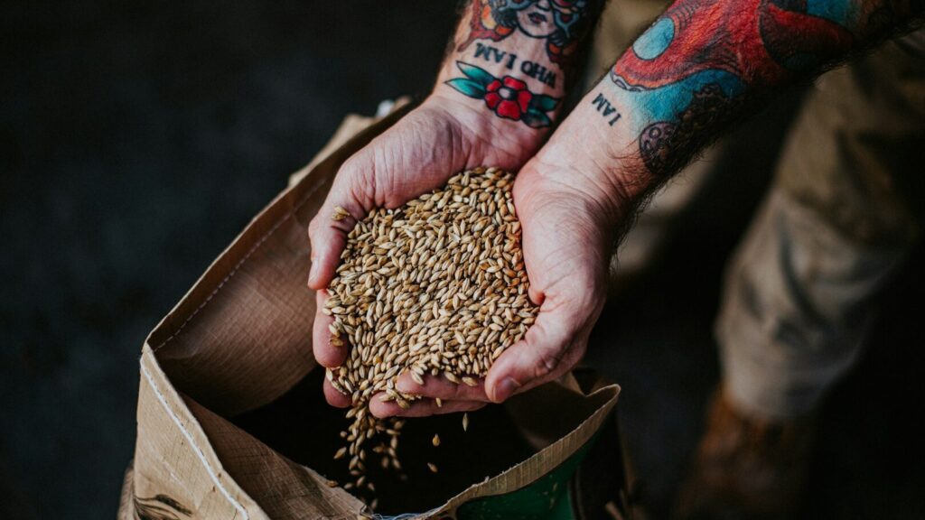 Barley is a food that many of us don't normally use in the kitchen. Yet it has several positive health benefits