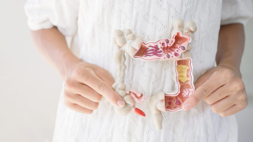 A disrupted gut microbiome affects your health.
