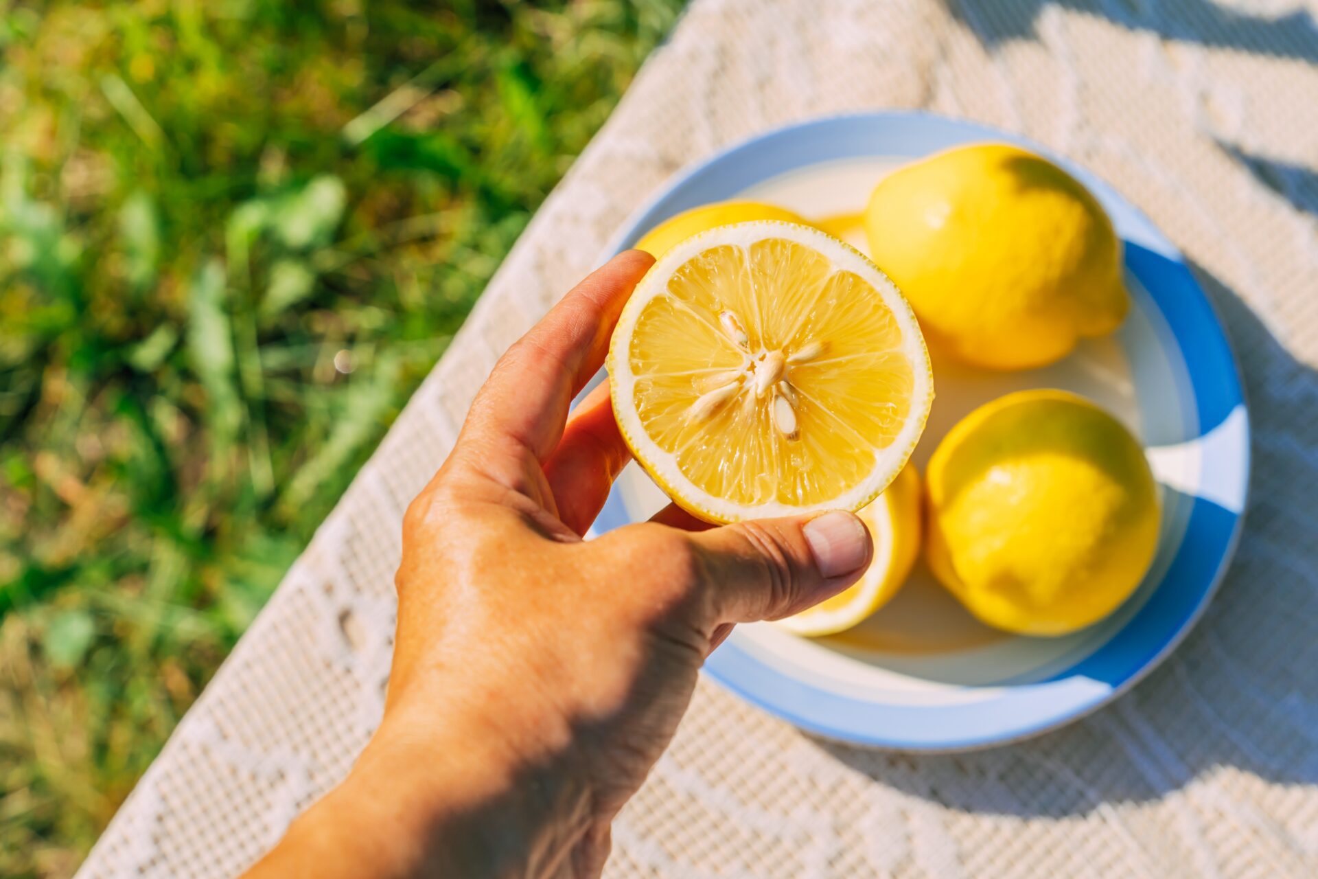 The lemon scent deters unwelcome visitors to your garden.