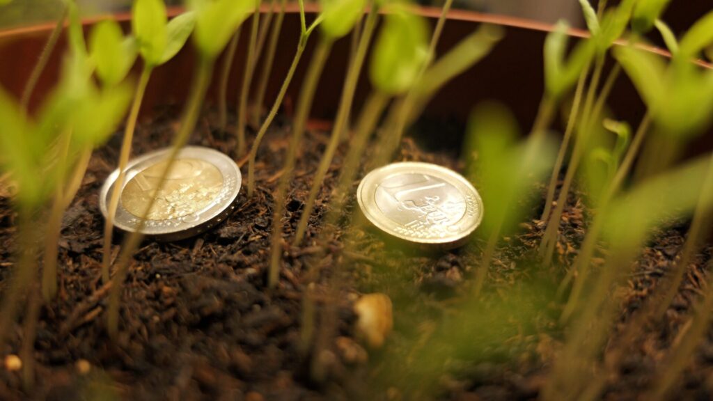 A gardening trick with a coin can help a plant thrive.